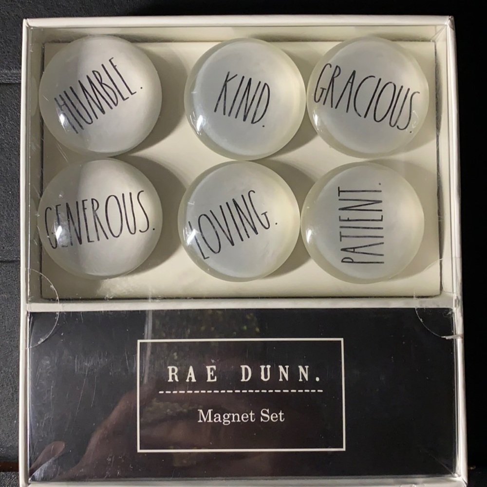 SALE 🔥Rae Dunn glass-dome magnet set NWT